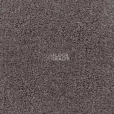 Ковролин Radici Admiral Charcoal 2205 фото 1 | FLOORDEALER